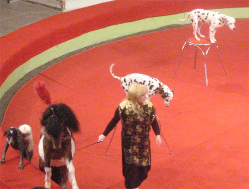 7_3.jpg