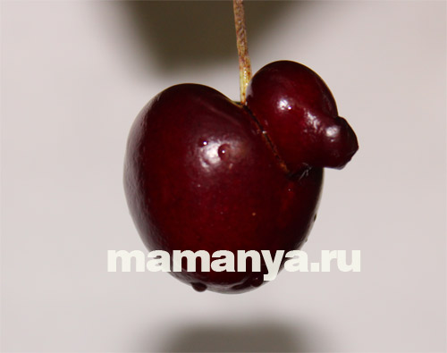 польза черешни